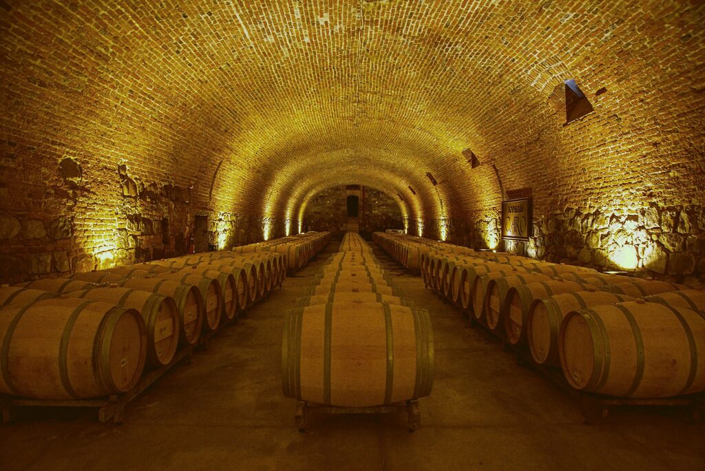 A long vaulted cellar lined with barrels, lit in amber.