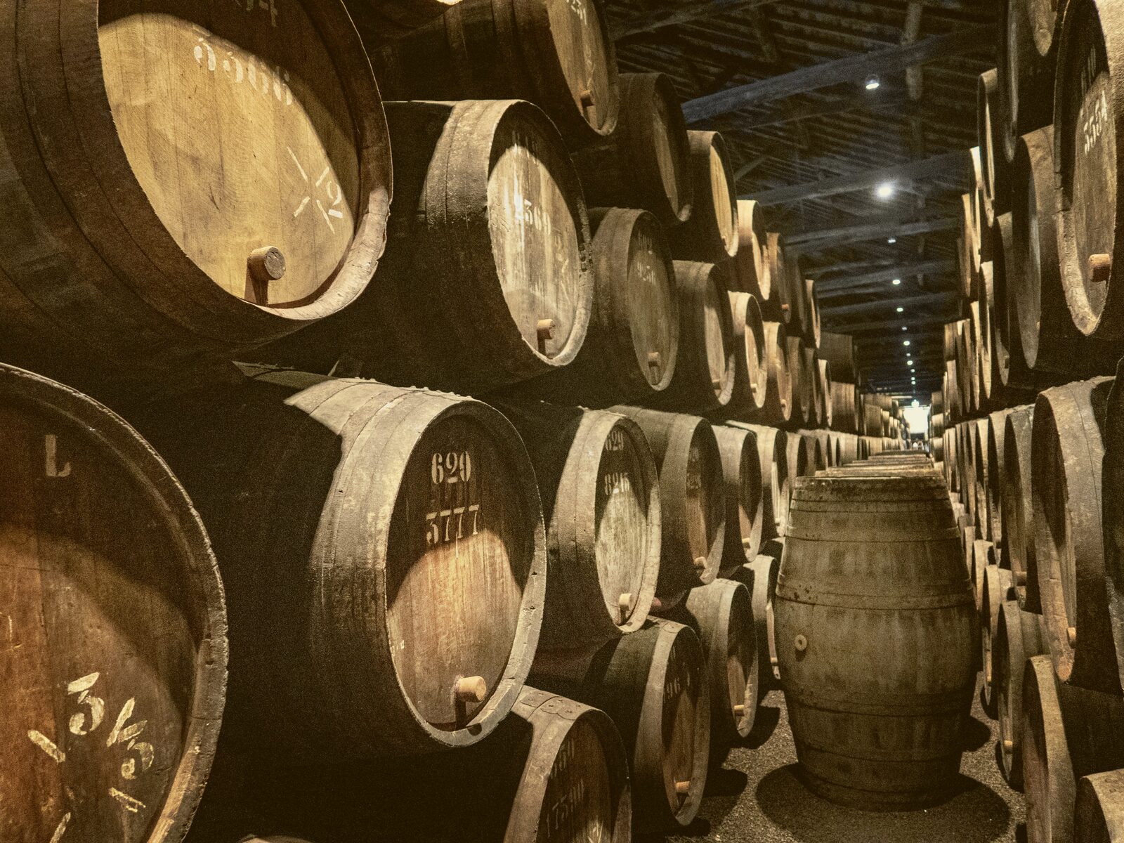Rows of numbered oak barrels stacked in a dim cellar aisle.